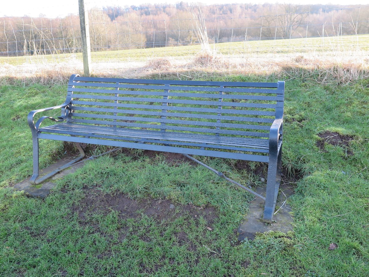 Issue #2 - Seat Competition - IMG_4254