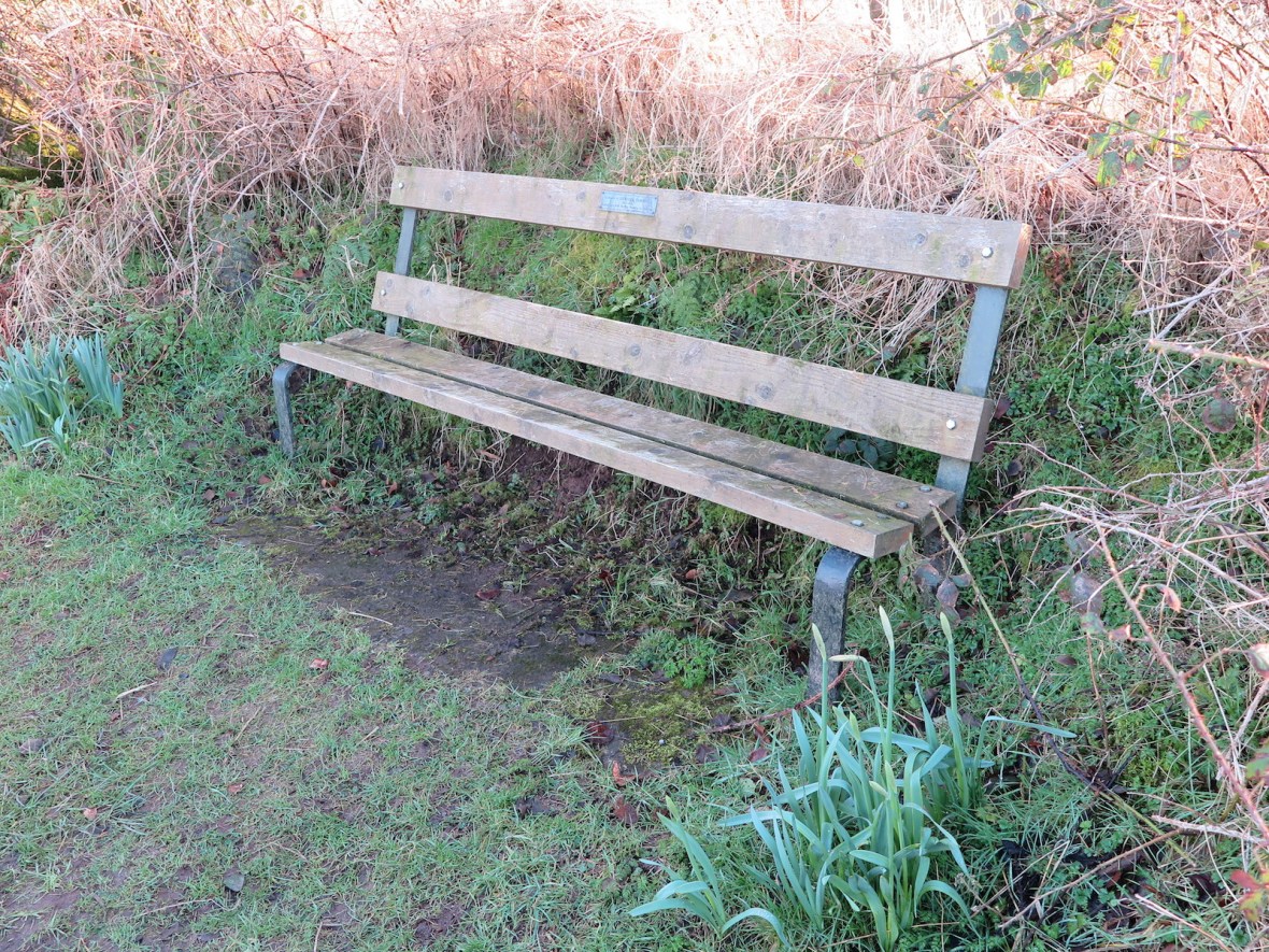 Issue #2 - Seat Competition - IMG_4257