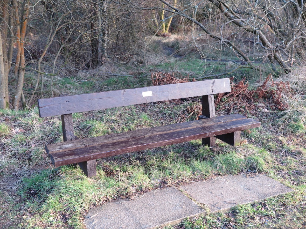 Issue #2 - Seat Competition - IMG_4260