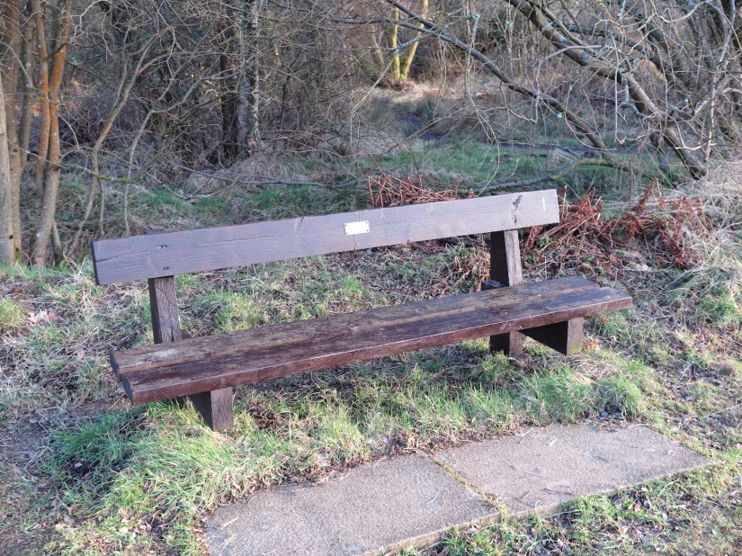 Issue #2 - Seat Competition - IMG_4260