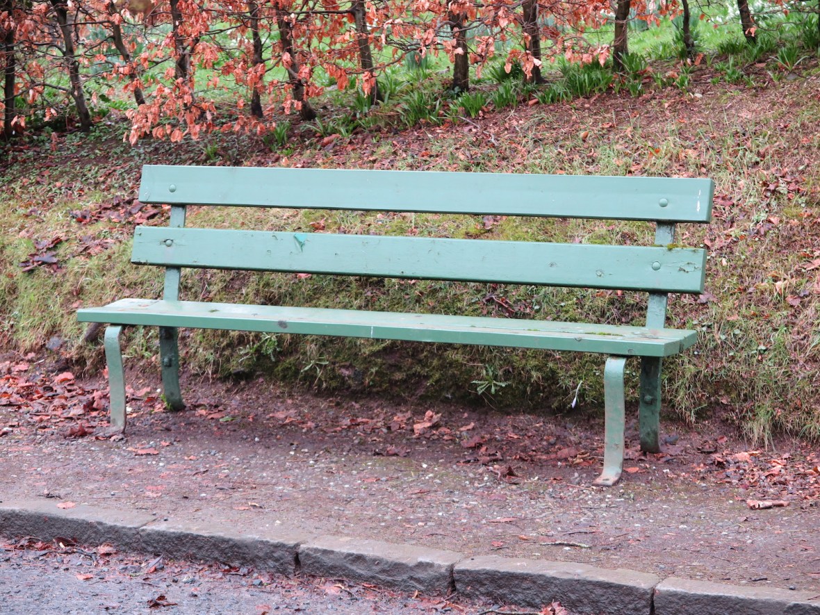 Issue #2 - Seat Competition - IMG_4293