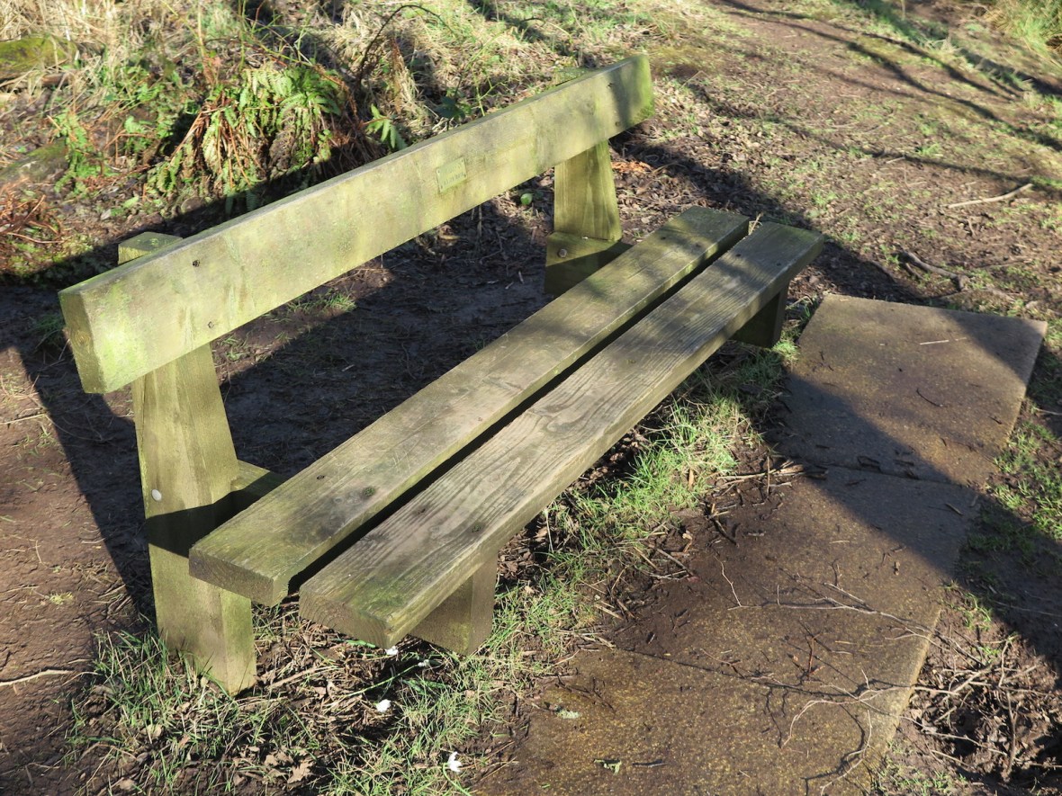 Issue #2 - Seat Competition - IMG_4297