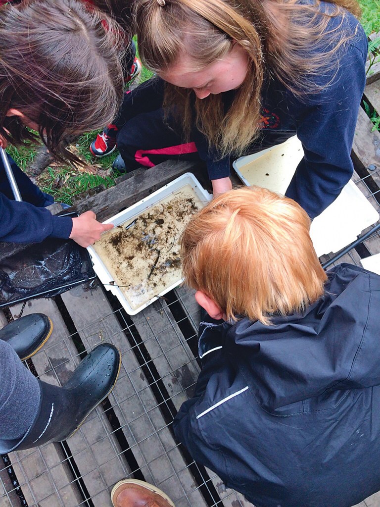 Day in the Woods Photo 2