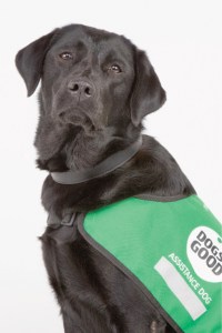 Befriending_volunteers_03