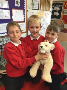 P3-4 Butterfly Lion 2